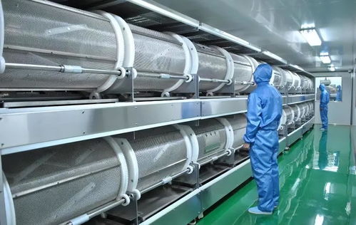 德國一化工廠爆炸,全球維生素價格為何暴漲4倍